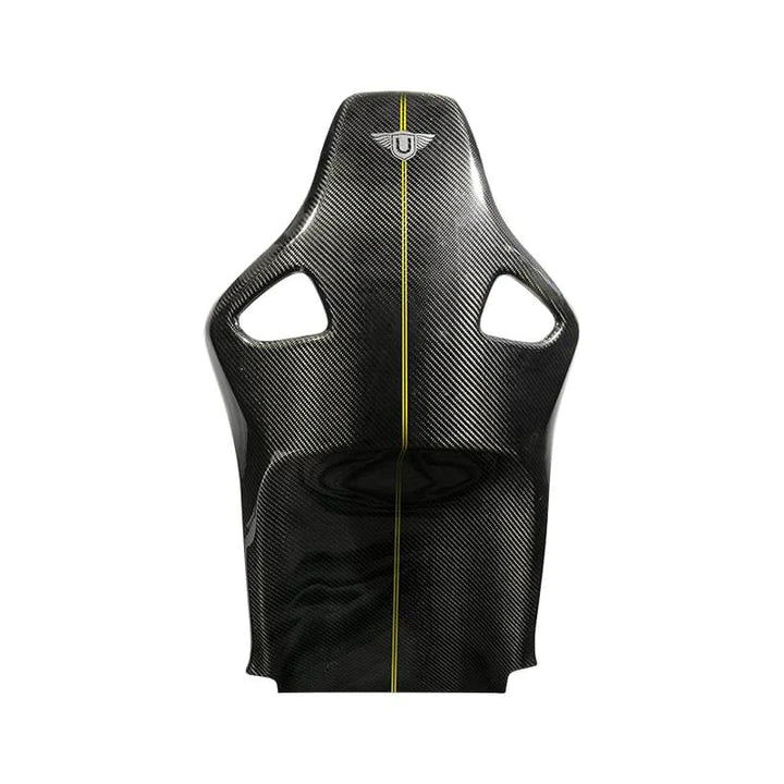 CARBON FIBER SEAT BACK WITH PINSTRIPE (L494 SVR 2015-2017)