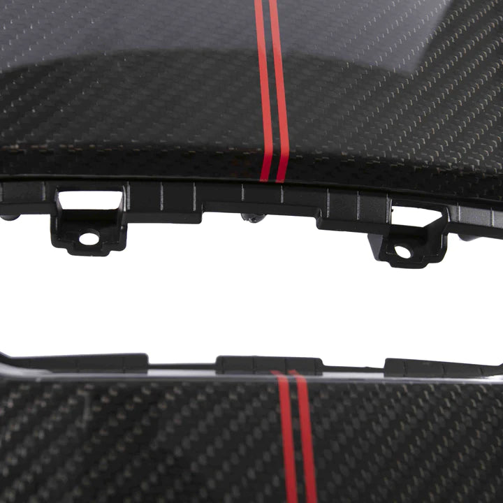 CARBON FIBER BACKREST WITH PINSTRIPE (L494 SVR 2018-)