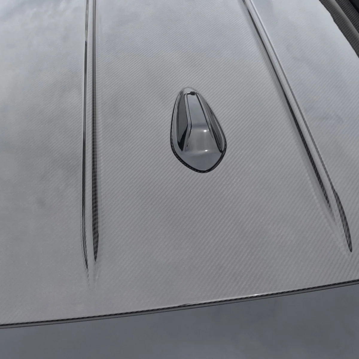 ALPHA-N carbon tag med klar lak velegnet til M3 G81/3 Series G21