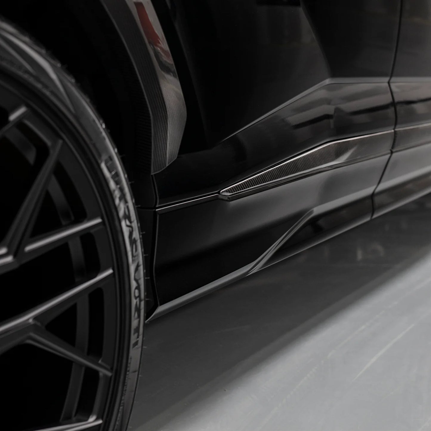 Lower Door Moldings Inserts in Visual Carbon Fibre