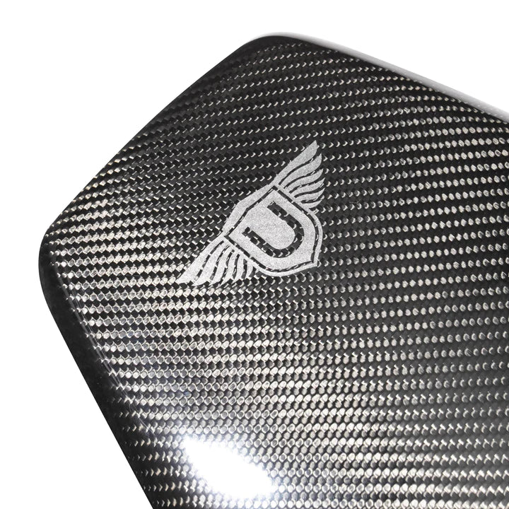 CARBON FIBER SEAT BACK (L494 SVR 2015-2017)