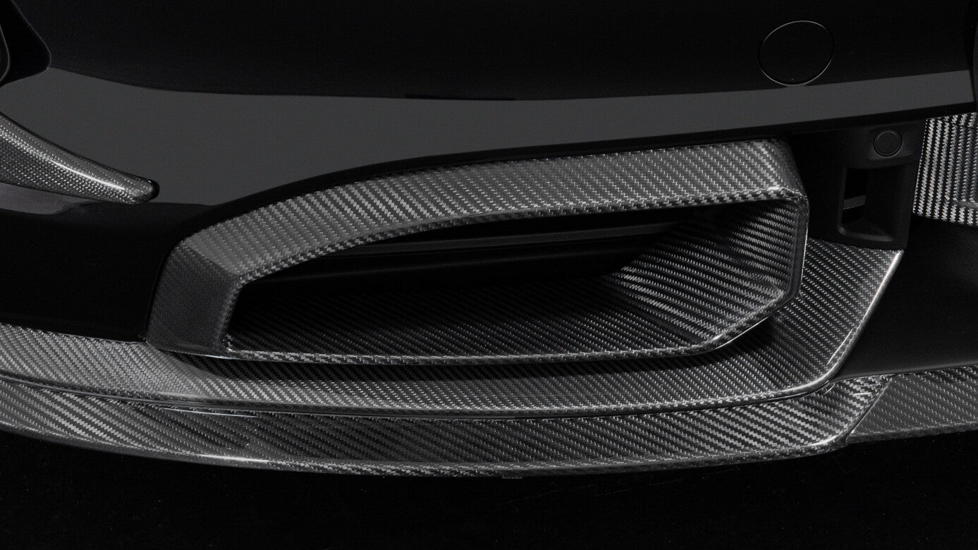 TAYCAN - CARBON FRONT FASCIA INDSÆT