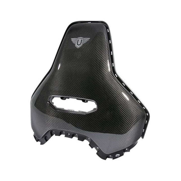 CARBON FIBER SEAT BACK (L494 SVR 2018-)