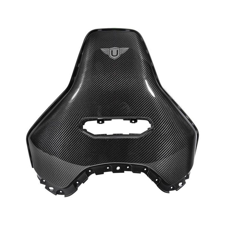 CARBON FIBER SEAT BACK (L494 SVR 2018-)