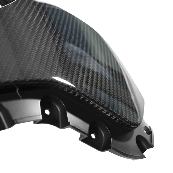 CARBON FIBER SEAT BACK (L494 SVR 2018-)