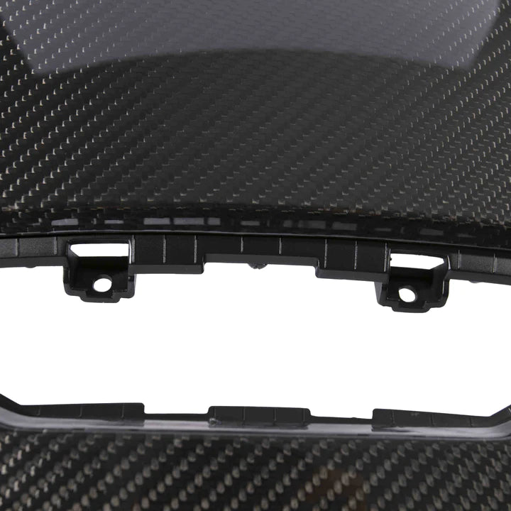 CARBON FIBER SEAT BACK (L494 SVR 2018-)